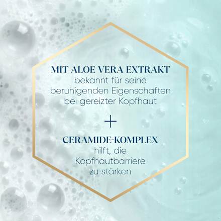 Shampoo Derma x Pro Beruhigende Pflege, 400 ml