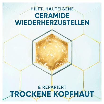 Shampoo Derma x Pro Gevoelige Verzorging, 250 ml