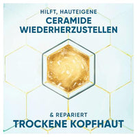 Shampoo Derma x Pro Gevoelige Verzorging, 250 ml