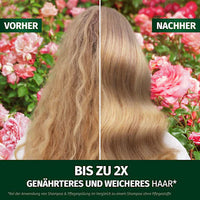 Conditioner Blütensanft Rosenduft, 250 ml