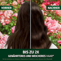 Conditioner Blütensanft Rosenduft, 250 ml
