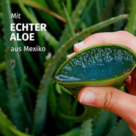 Conditioner Feuchtigkeit Aloe Vera, 250 ml