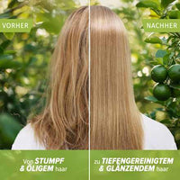 Conditioner Limettenduft, Tiefenreinigung & Glanz, 250 ml