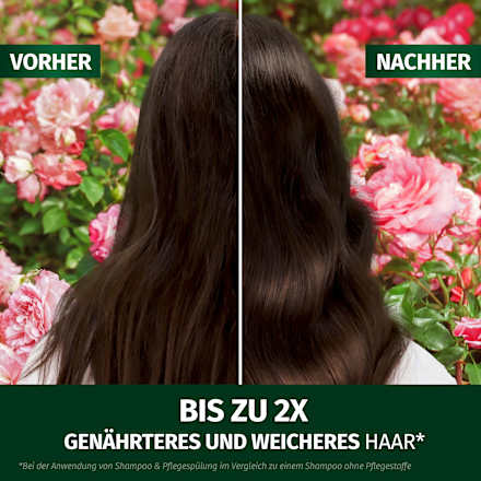 Shampoo Blütensanft Rosenduft, 350 ml