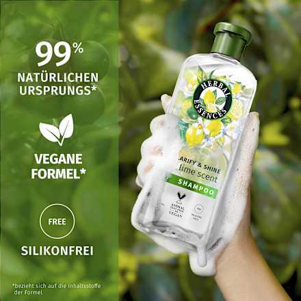 Shampoo Limettenduft, Tiefenreinigung & Glanz, 350 ml