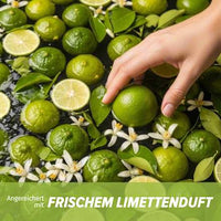Shampoo Limettenduft, Tiefenreinigung & Glanz, 350 ml