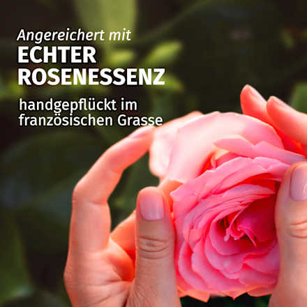 Shampoo Rose, 650 ml