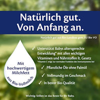 Folgemilch 3 PUR ab dem 10. Monat, 500 g