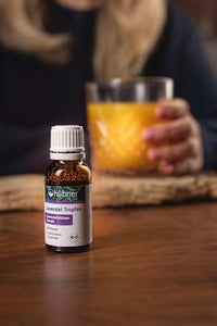Lavendel Tropfen, 20 ml
