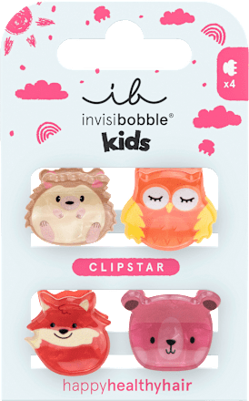 Haarklammern Clipstar Kids Clever Classmates, 4 St