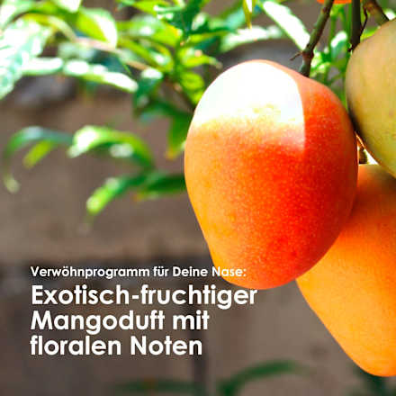 Conditioner Lockentraum Mango Matcha, 300 ml Jean&Len