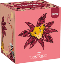 Tissues Box Kids Disney, 48 stuks