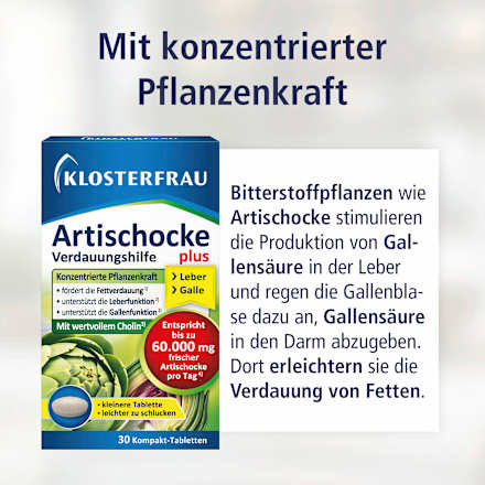 Artischocke Verdaungshilfe plus Tabletten 30 St, 20 g