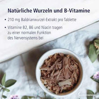 Baldrian 1200, Tabletten, 30 St