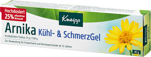 Arnika Kühl- & SchmerzGel, 45 g