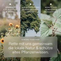 10-Tage-Trinkkur Ayurveda Wildkräuterauszug, 100 ml kruut