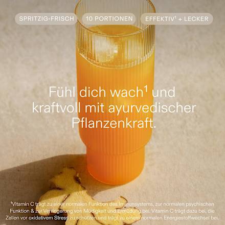 10-Tage-Trinkkur Ayurveda Wildkräuterauszug, 100 ml kruut