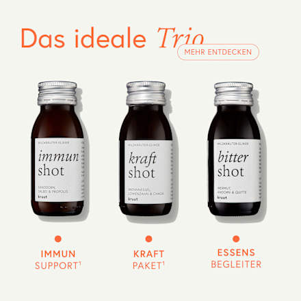 Immun Wildkräuter-Shot, 60 ml