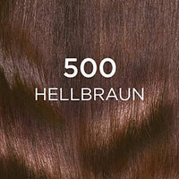 Intensivtönung 500 Hellbraun, 1 St