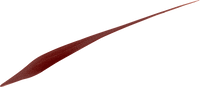 Eyeliner Perfect Slim 03 Bruin, 1 st