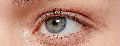 Mascara False Lash Black, 8,9 ml