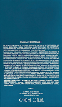 Distant Wave Eau de Toilette, 100 ml