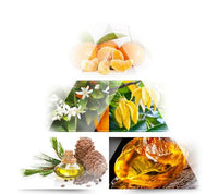 Elixir Eau de Parfum, 100 ml