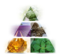 Extreme Story Eau de Toilette, 75 ml