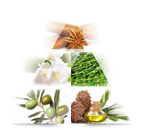 Secret of Beauty Eau de Parfum, 100 ml