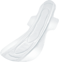 Wochenbett Einlagen Gr. L, 10 St