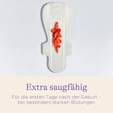 Wochenbett Einlagen Gr. L, 10 St