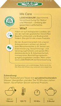 Früchtetee "Zeit zum Krafttanken" (20 Beutel), 40 g