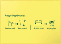 LEBENSBAUM Kräutertee, Ingwer-Minze (20 Beutel), 30 g