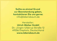 Gember-Citroen Kruidenthee (20 zakjes), 40 g