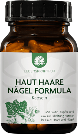Haut Haare Nägel Formula Kapseln 120St, 119,66 g