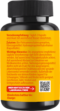 Bio Flohsamenschalen Kapseln 60 St, 36 g