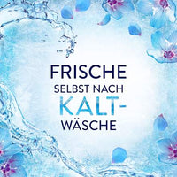 Weichspüler Aprilfrisch 59WL, 1,239 l Lenor