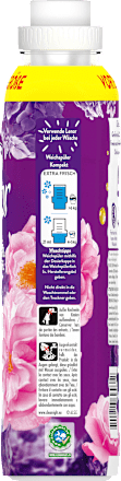 Weichspüler Blütentraum, 59WL, 1,239 l Lenor