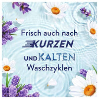 Weichspüler Ein Tag in der Provence, 42 WL, 882 ml