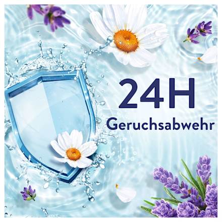 Weichspüler Ein Tag in der Provence, 42 WL, 882 ml