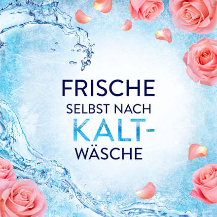 Weichspüler Frühlingsgarten, 42WL, 882 ml Lenor