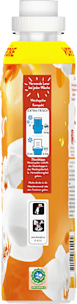Weichspüler Goldene Orchidee, 59WL, 1,239 l Lenor
