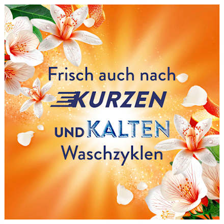 Weichspüler Orange & Verbene 42 WL, 882 ml
