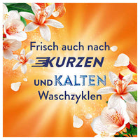 Weichspüler Orange & Verbene 42 WL, 882 ml