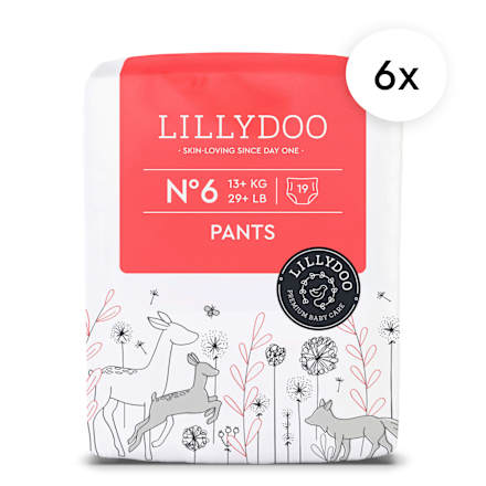 Baby Pants Gr. 6 (13+ kg), Monatsbox, 114 St