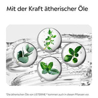 Mundspülung Cool Mint Extra Milde Minze alkoholfrei, 500 ml
