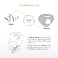 Löwenpads Gute Nacht, 5 St