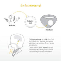 Löwenpads Rotznäschen, Nachfüllpack, 10 St