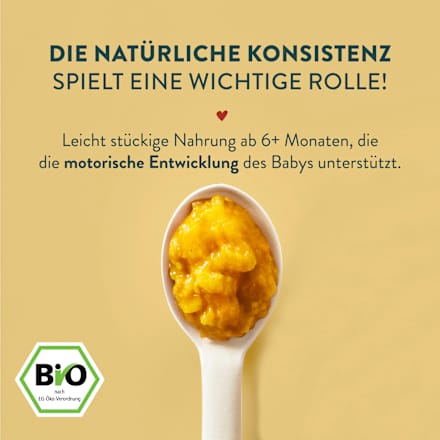 Menü Curry Reisgericht Karotte, Hähnchen, Kokos, Ingwer, ab 6 Monaten, 185 g