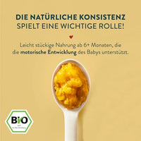 Menü Curry Reisgericht Karotte, Hähnchen, Kokos, Ingwer, ab 6 Monaten, 185 g